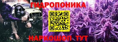 гидра Боровичи