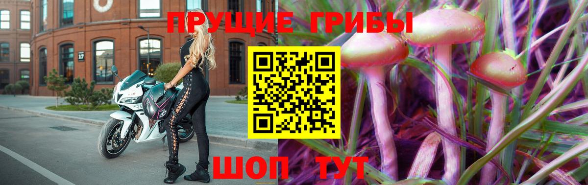 Псилоцибиновые грибы Cubensis  Вход с VPN  Ижевск 