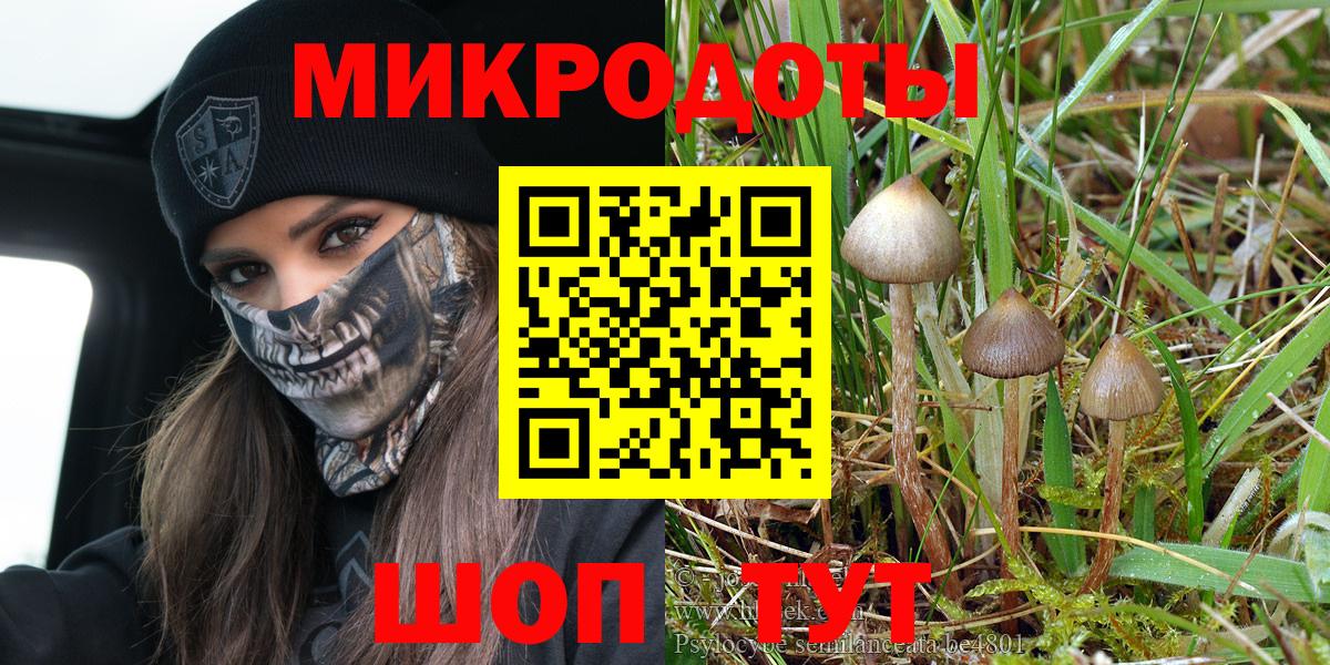Псилоцибиновые грибы мухоморы Ижевск
